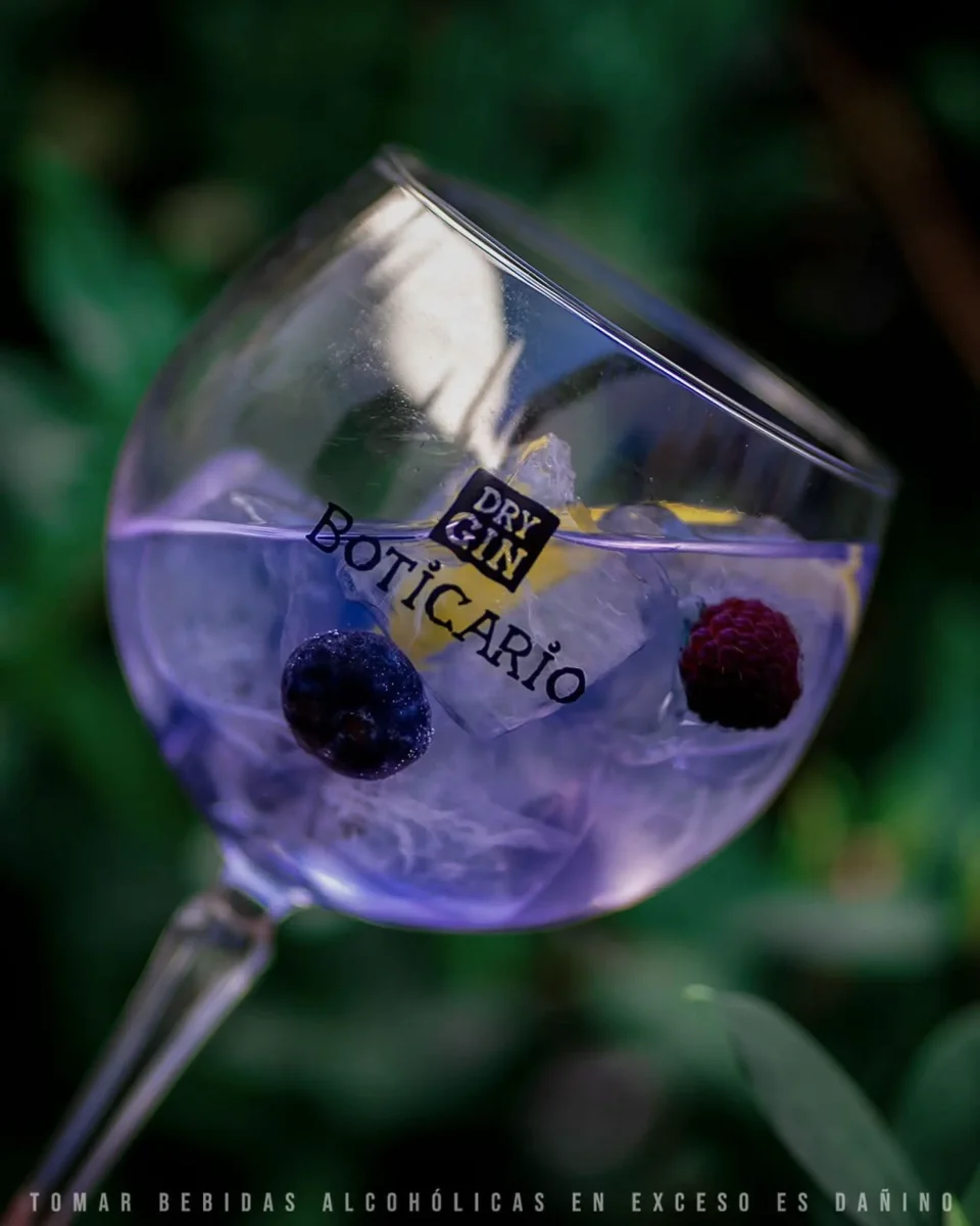 Boticario Blueberry Gin - products%2F62d57d19-a116-4210-8843-0ff4a3034491%2F1773349427364_vqkzp.webp