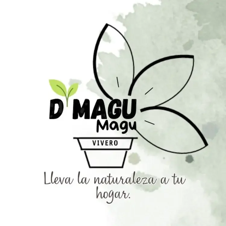 DETALLES MAGU MAGU